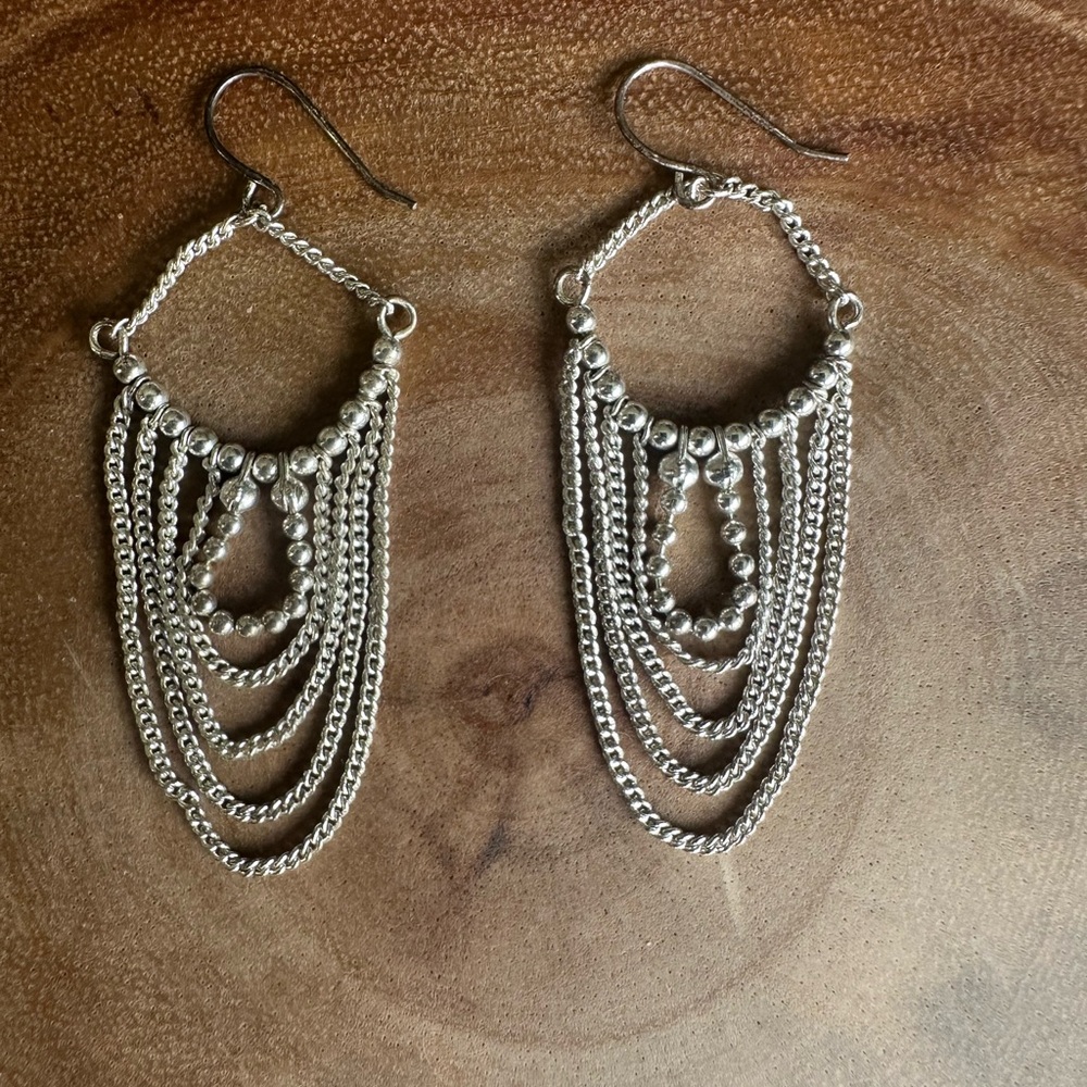 Chic Silver Dangle Earrings - image 5